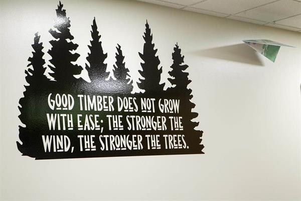 school wall graphics