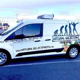 vehicle wraps